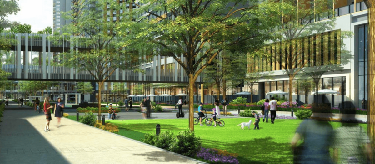 Mandani Bay内の緑地