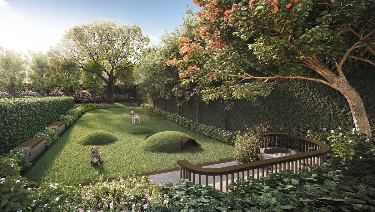 XT 10 EKKAMAIのドッグラン